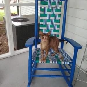 Meet your Posher, Annette